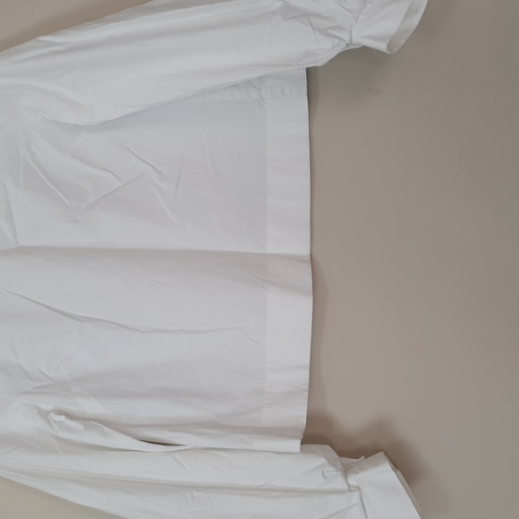 Babaton Aritzia Niki Poplin Puff Sleeves Blouse - Picture 4 of 9